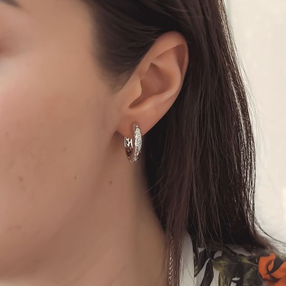 Silver Earrings with Fianites