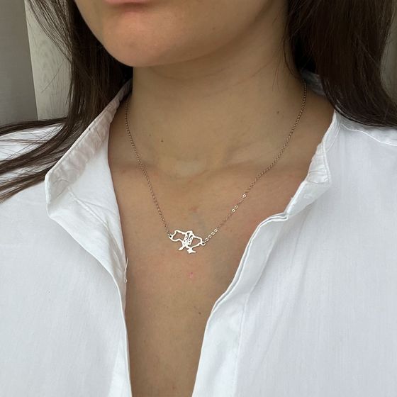 Silver necklace without stones
